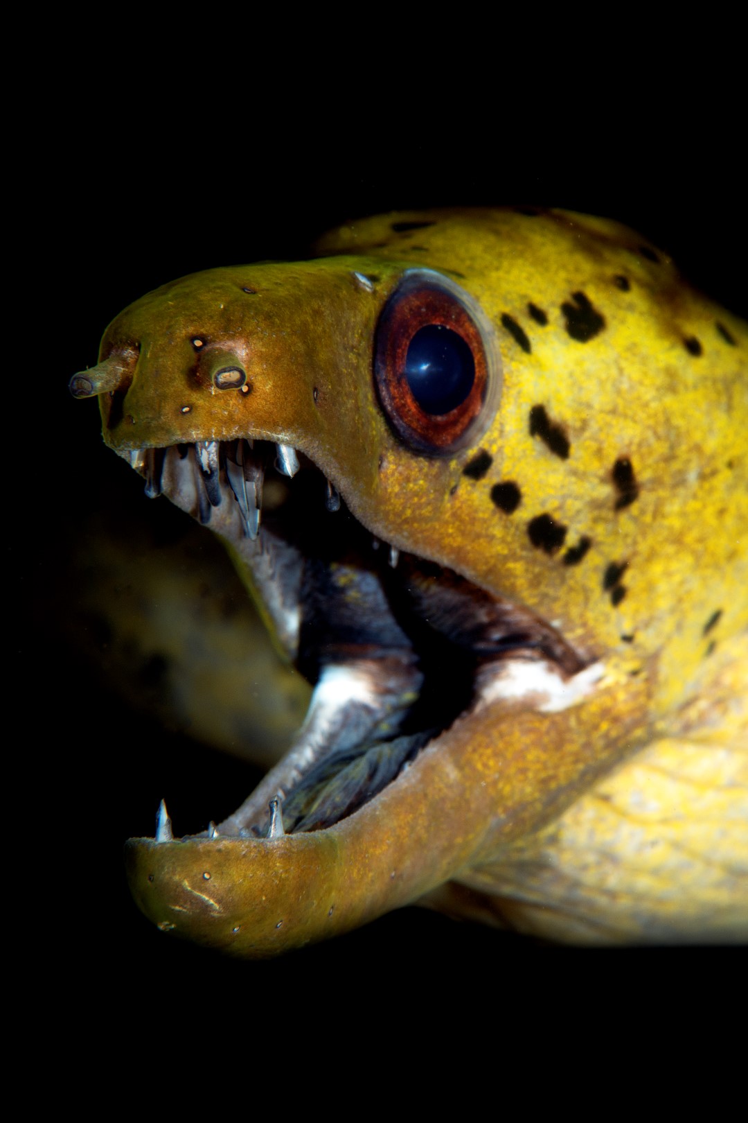 20150702_Pantai Parigi_0004 (Large)