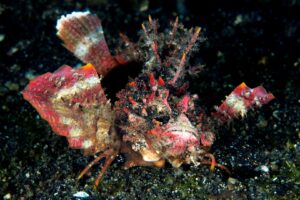 20150703_Aer Prang_0003 (Large)