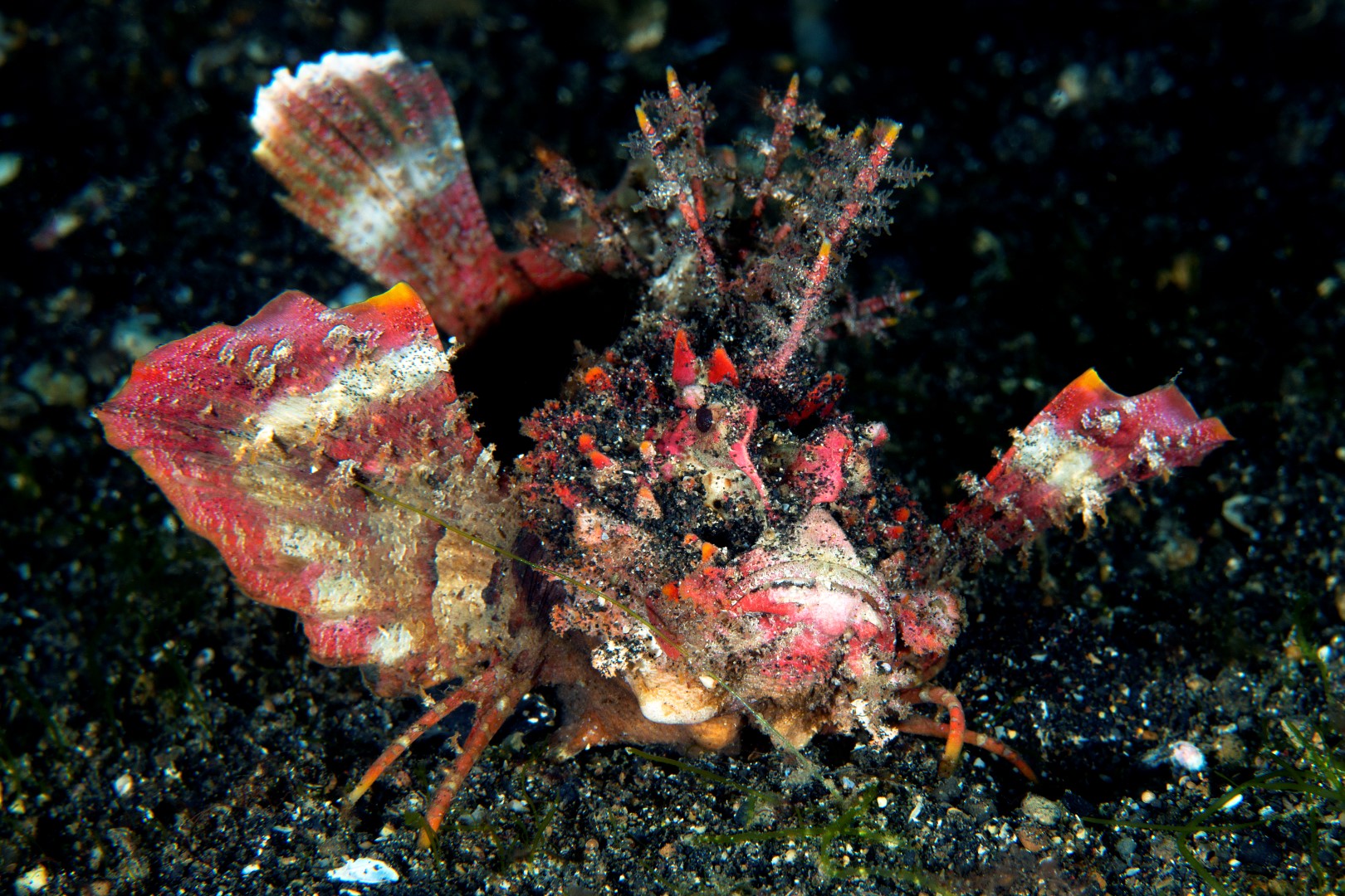 20150703_Aer Prang_0003 (Large)