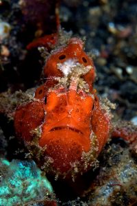 20150703_Aer Prang_0023 (Large)