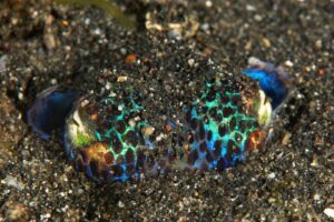 20150703_Aer Prang_0032 (Large)