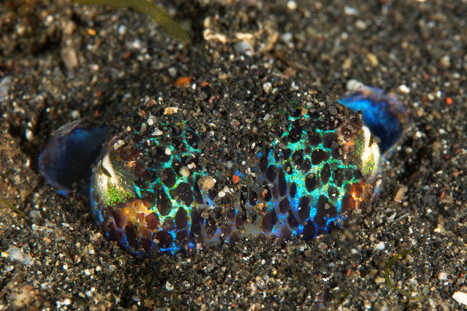 20150703_Aer Prang_0032 (Large)