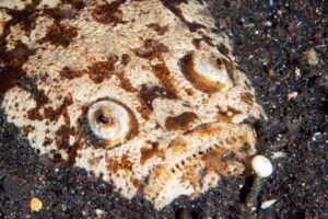 20150703_Aer Prang_0036 (Large)