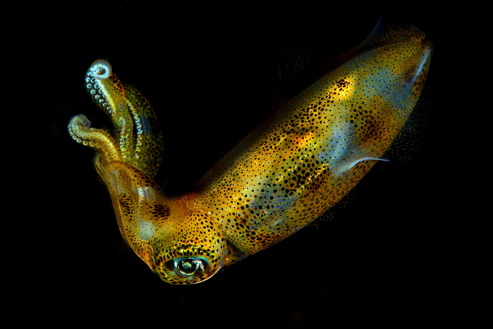 20150703_Aer Prang_0037 (Large)