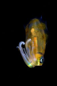 20150703_Aer Prang_0038 (Large)