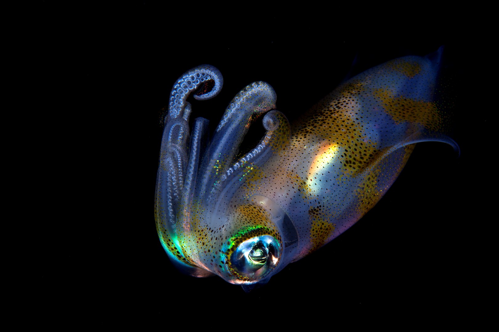 20150703_Aer Prang_0039 (Large)