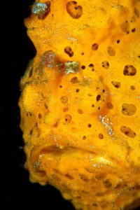 20150703_Teluk Kembahu 3_0012 (Large)