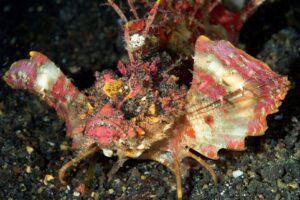 20150704_Bianca_0014 (Large)