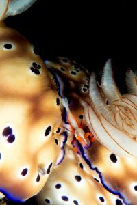 20150705_Bianca _0022 (Large)