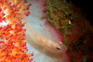 20150705_Nudi Retreat_0009 (Large)