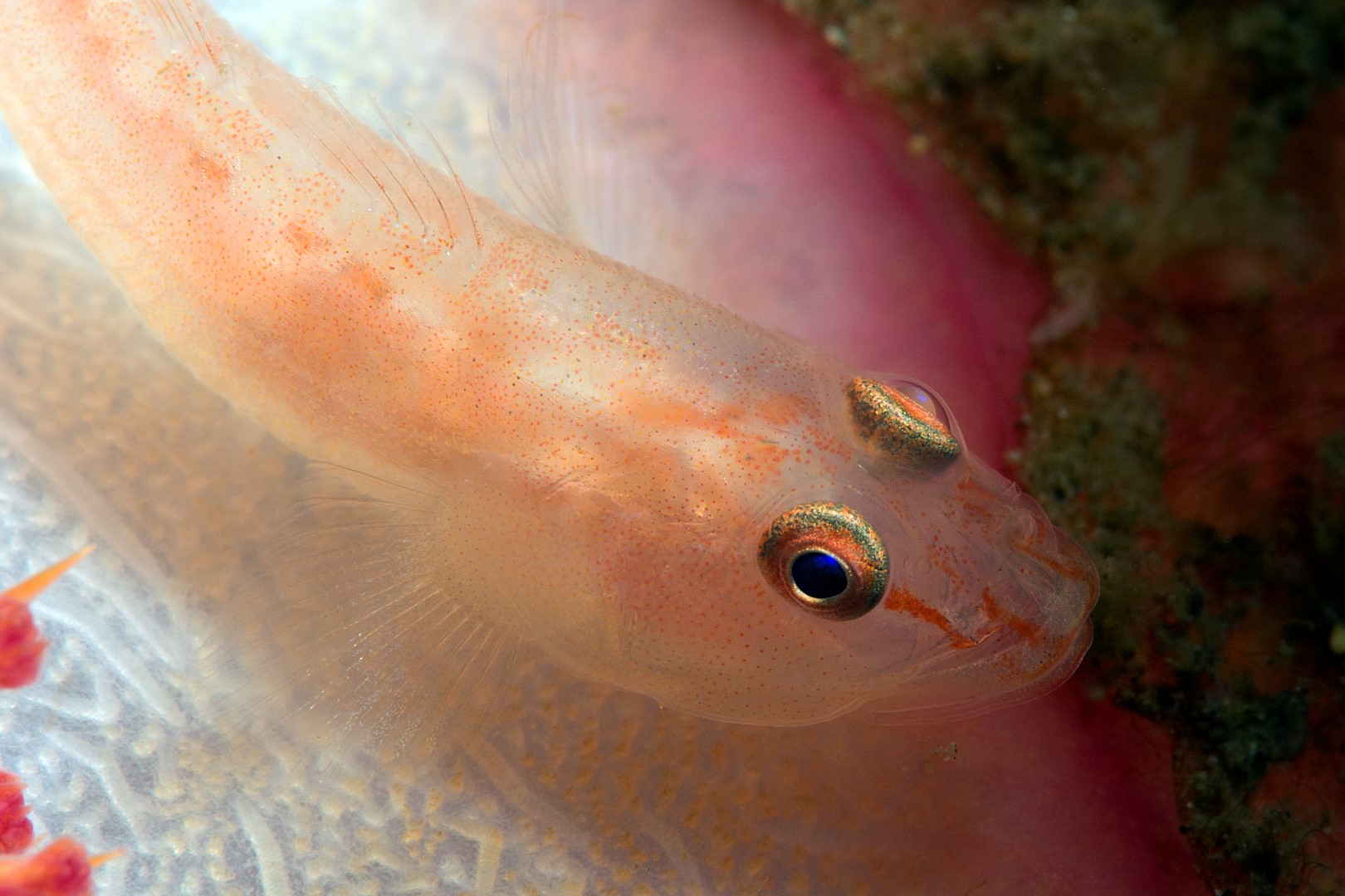 20150705_Nudi Retreat_0010 (Large)