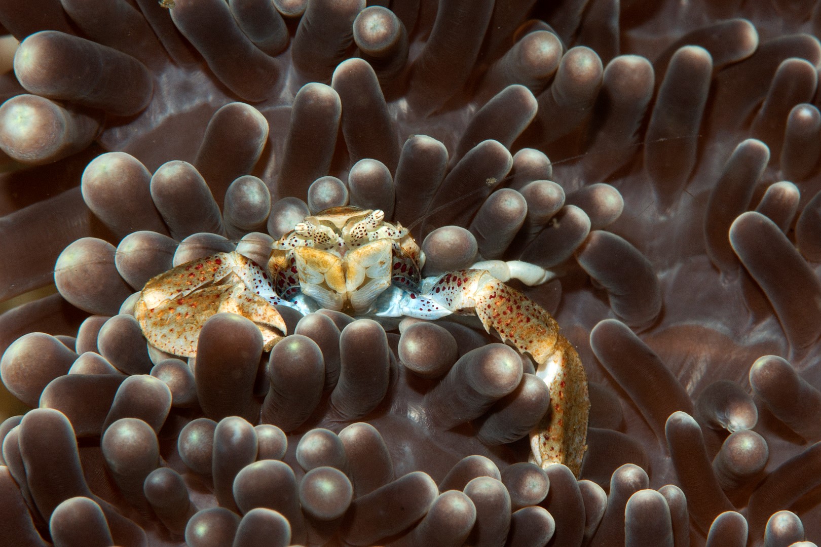 20150705_Nudi Retreat_0014 (Large)