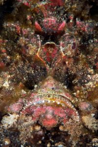 20150705_Teluk Kembahu 3_0001 (Large)