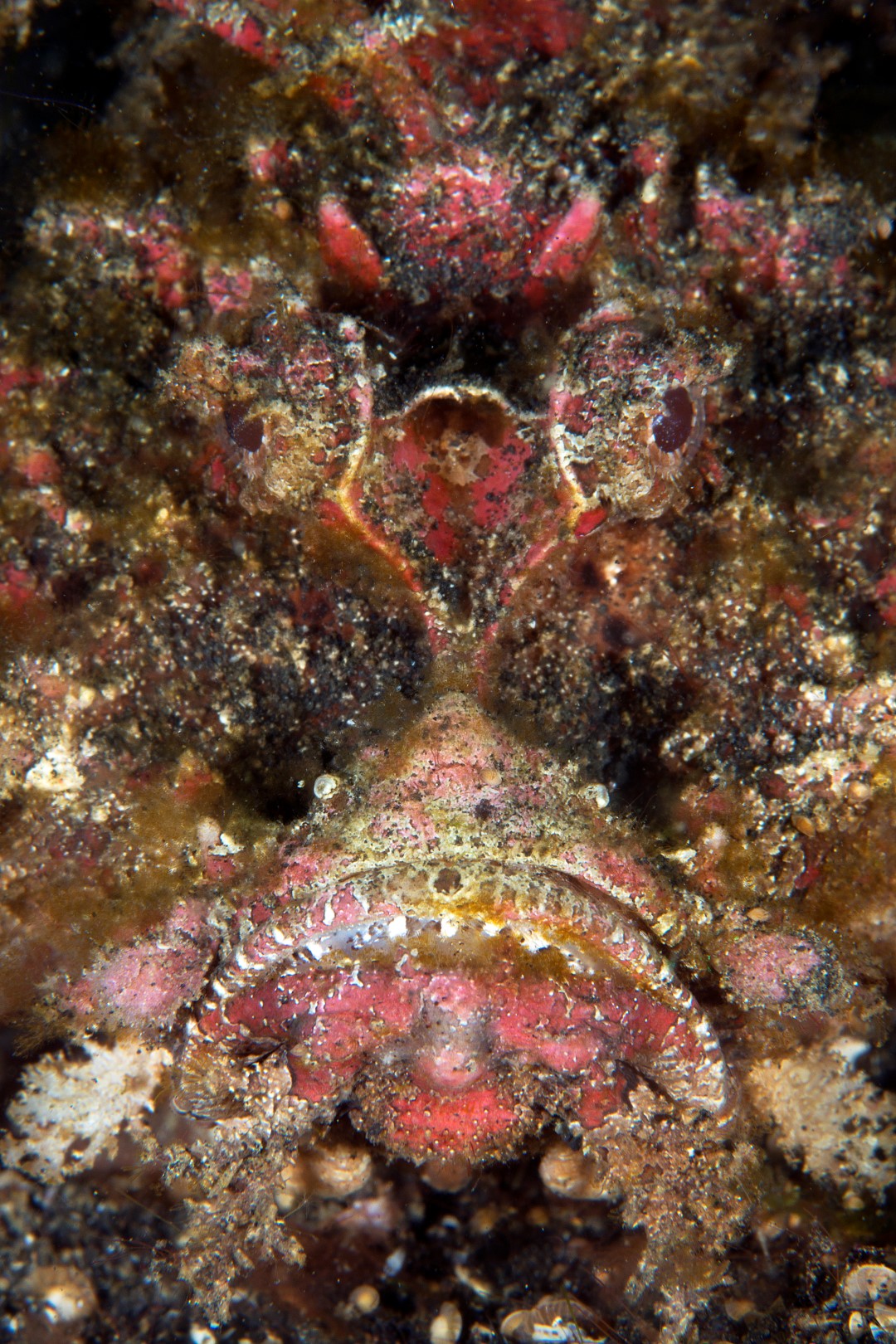 20150705_Teluk Kembahu 3_0001 (Large)