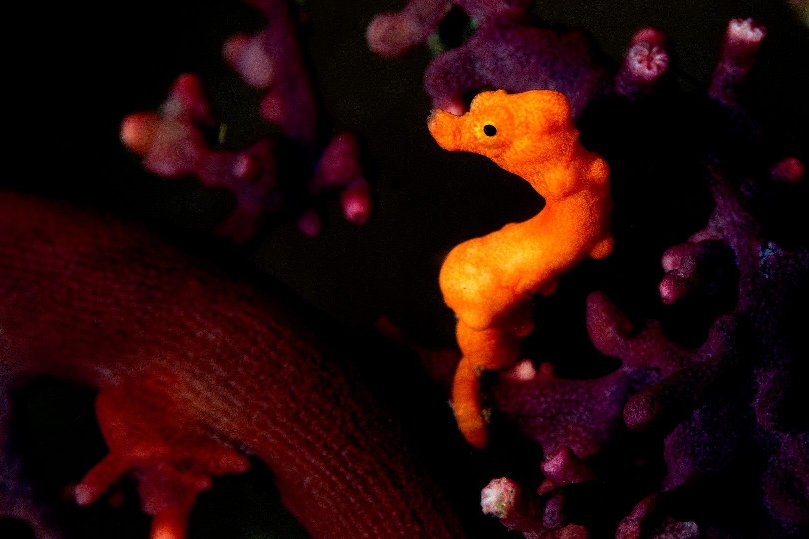 20150706_Makawidey_0007 (Large)