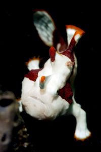 20150706_Teluk Kembahu 3_0013 (Large)