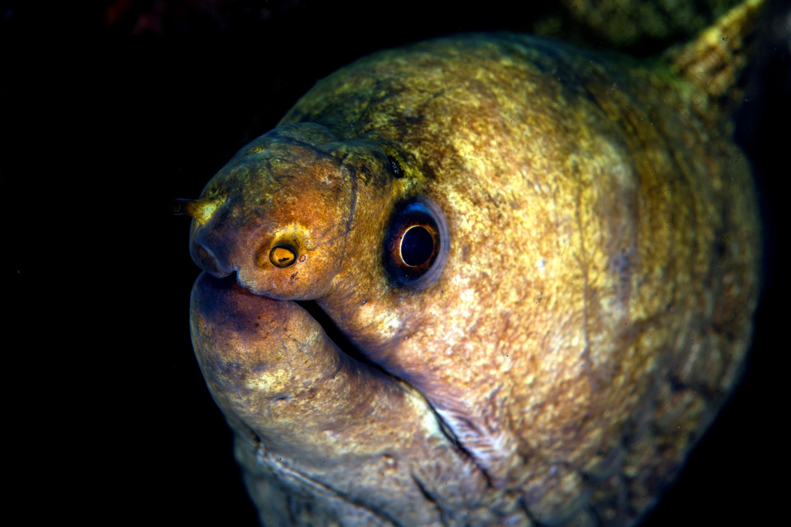 20150706_Teluk Kembahu 3_0014 (Large)