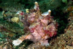 20150707_Bianca_0005 (Large)