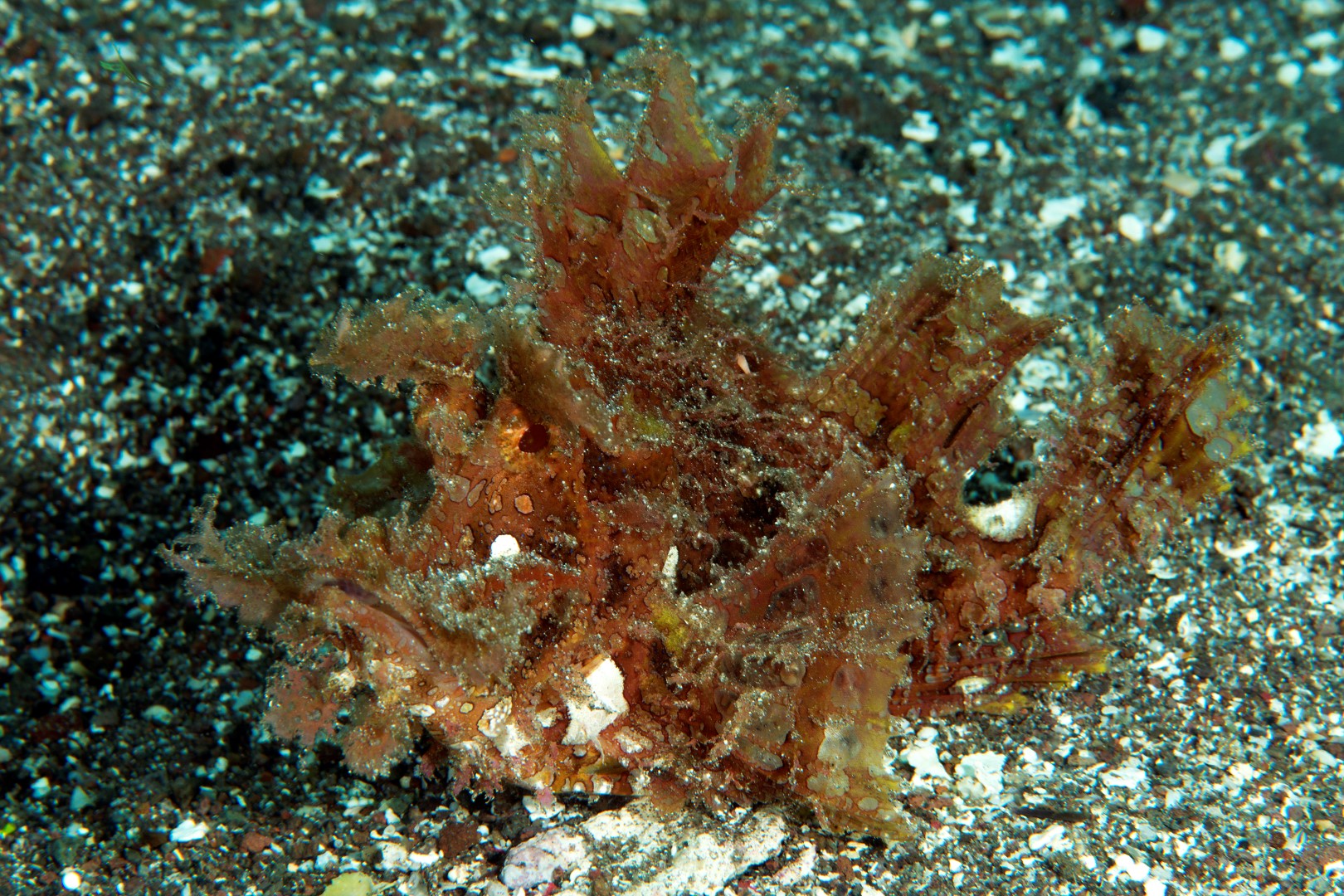 20150904_Solembali Black Sand_0023 (Large)