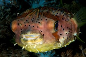 20150907_Ampura Point_0009 (Large)