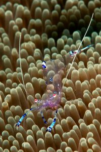 20150907_Ampura School_0022 (Large)