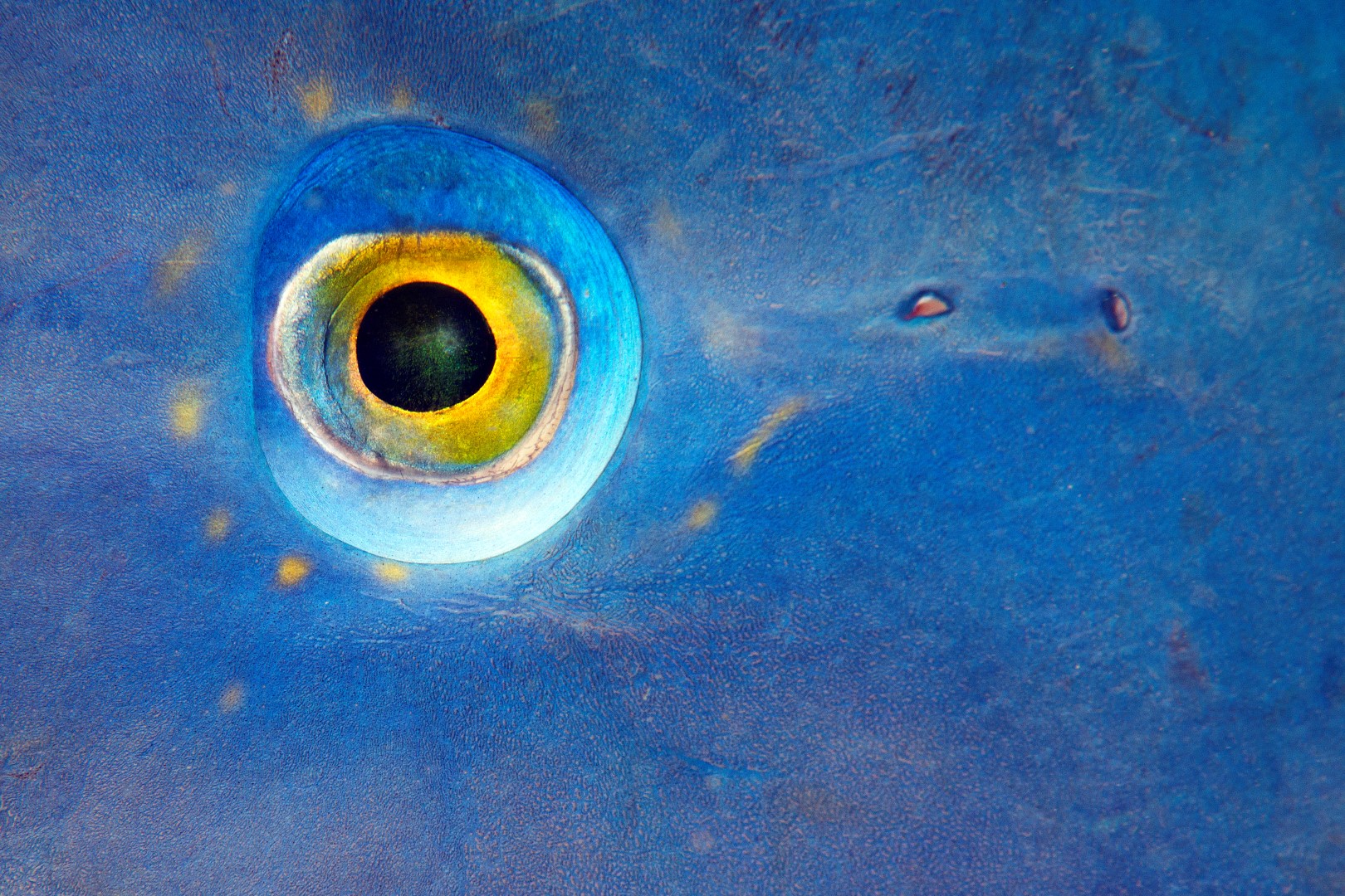 20151004_Lion's Den_0003 (Large)