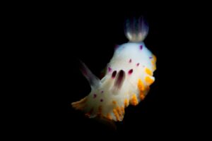 20160110_Port Noarlunga_0007 (Large)