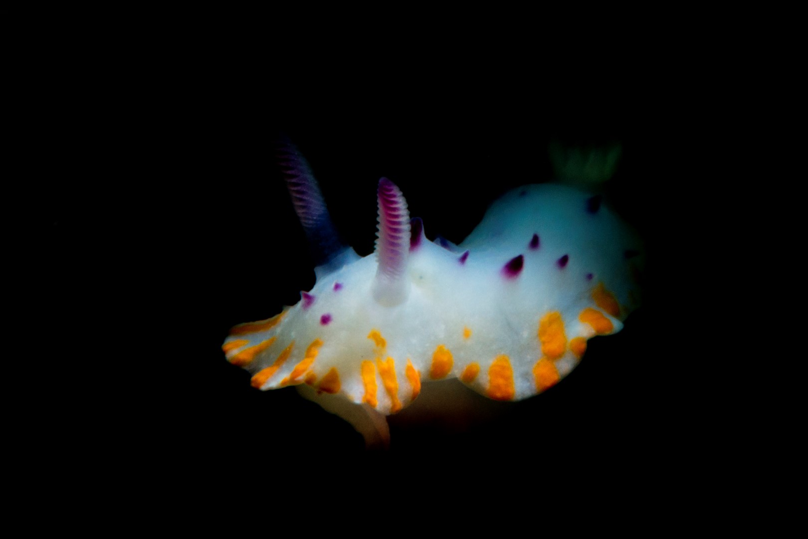 20160110_Port Noarlunga_0009 (Large)