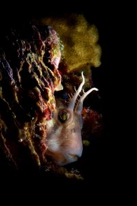 20160117_Port Hughes_0005 (Large)