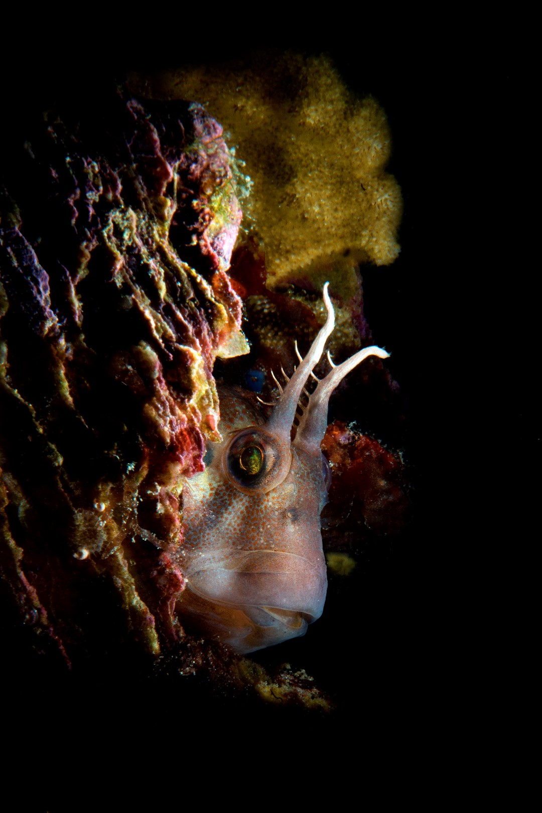 20160117_Port Hughes_0005 (Large)