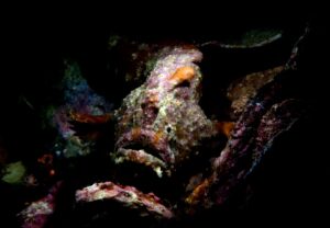 20160117_Port Hughes_0007 (Large)