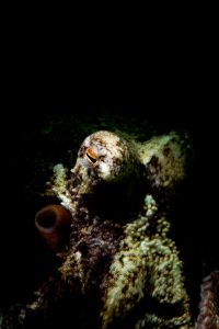 20160117_Port Hughes_0016 (Large)