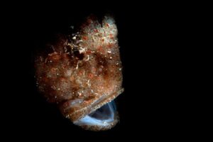 20160117_Port Hughes_0022 (Large)