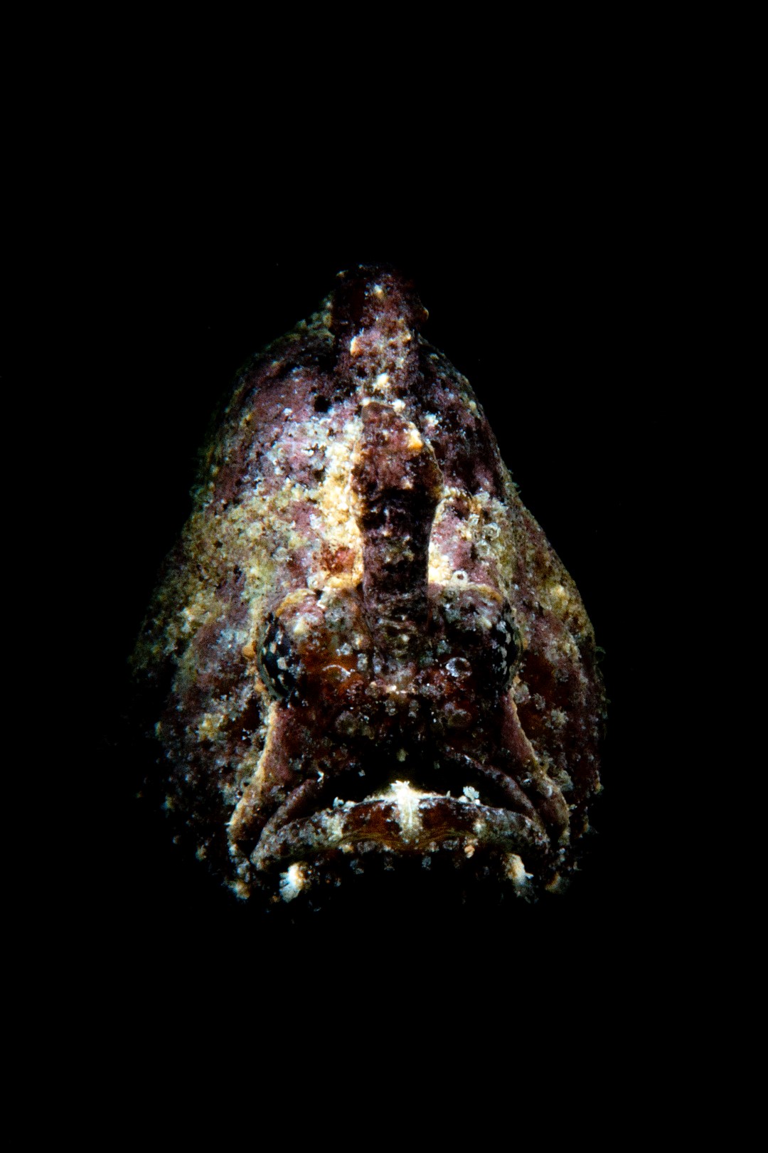 20160117_Port Hughes_0029 (Large)