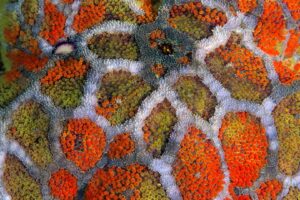 20160427_Midway_0002 (Large)