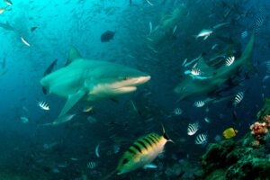 20160507_The Bistro_0013 (Large)