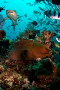 20160507_The Bistro_0038 (Large)