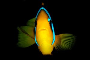 20160508_Chris's Place_0035 (Large)