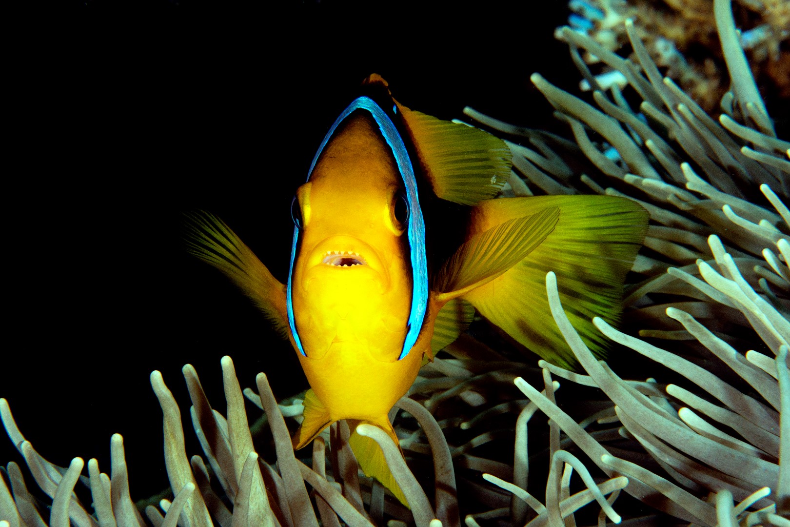 20160509_Juvenile Box_0019 (Large)