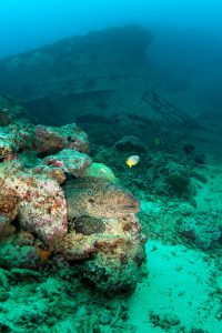 20160511_The Bistro_0020 (Large)