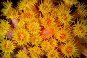 20161004_North West Solitary_0016 (Large)