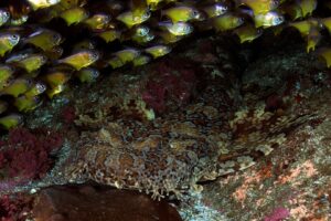 20161008_North Rock_0007 (Large)