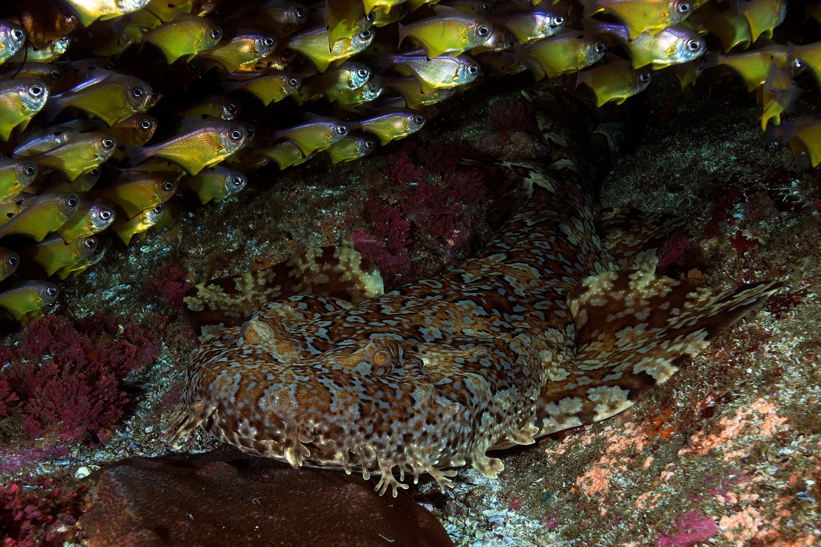 20161008_North Rock_0007 (Large)