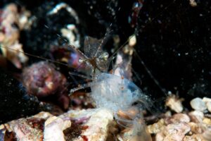 20161211_Port Hughes_0003 (Large)