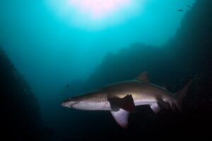 20170329_E Gutters_0002 (Large)