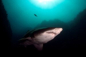 20170329_E Gutters_0003 (Large)