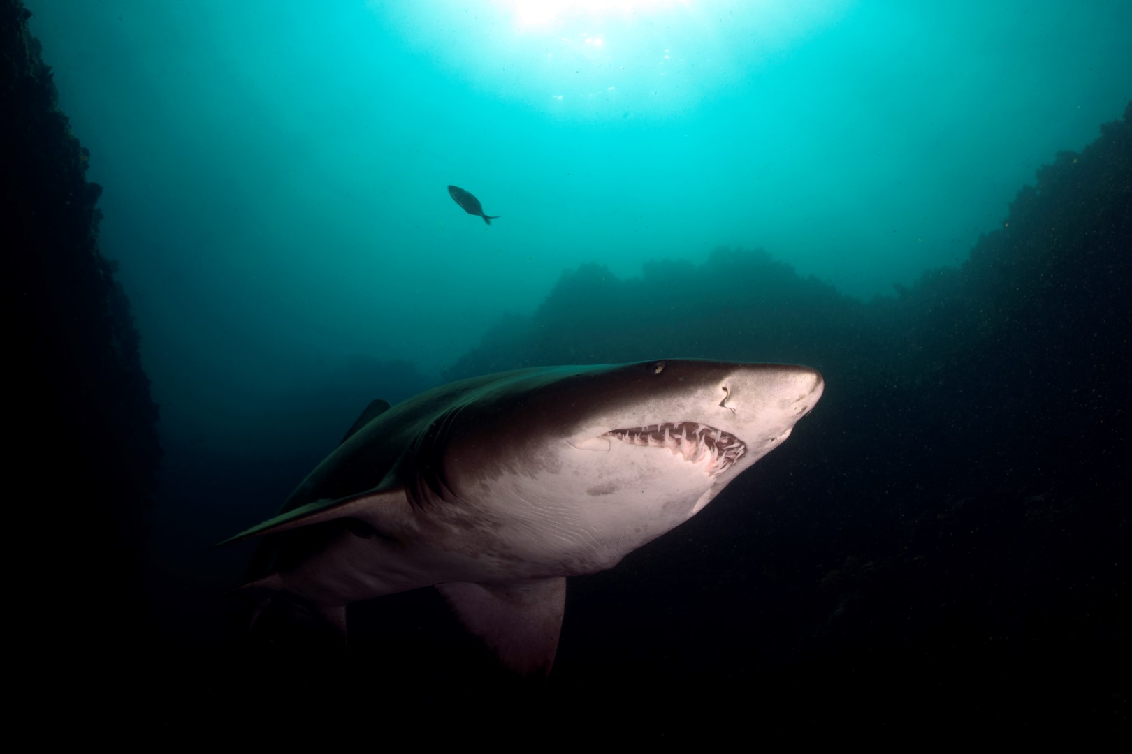 20170329_E Gutters_0003 (Large)