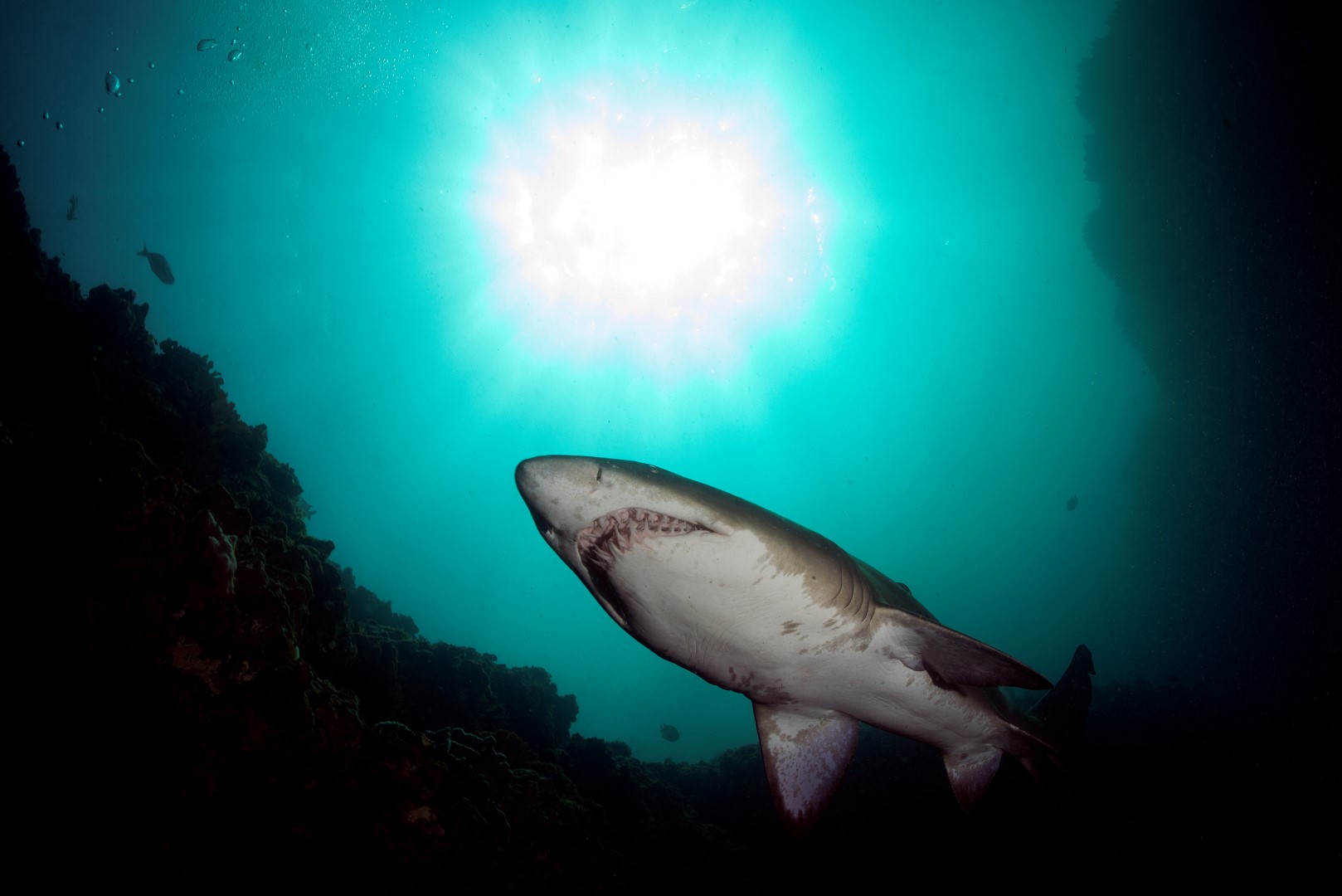 20170329_E Gutters_0004 (Large)