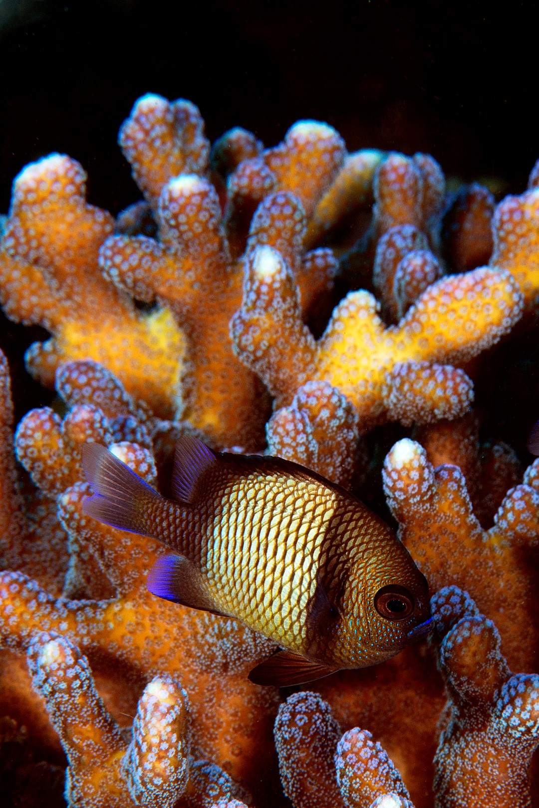 20170604_Masaplod_0001 (Large)