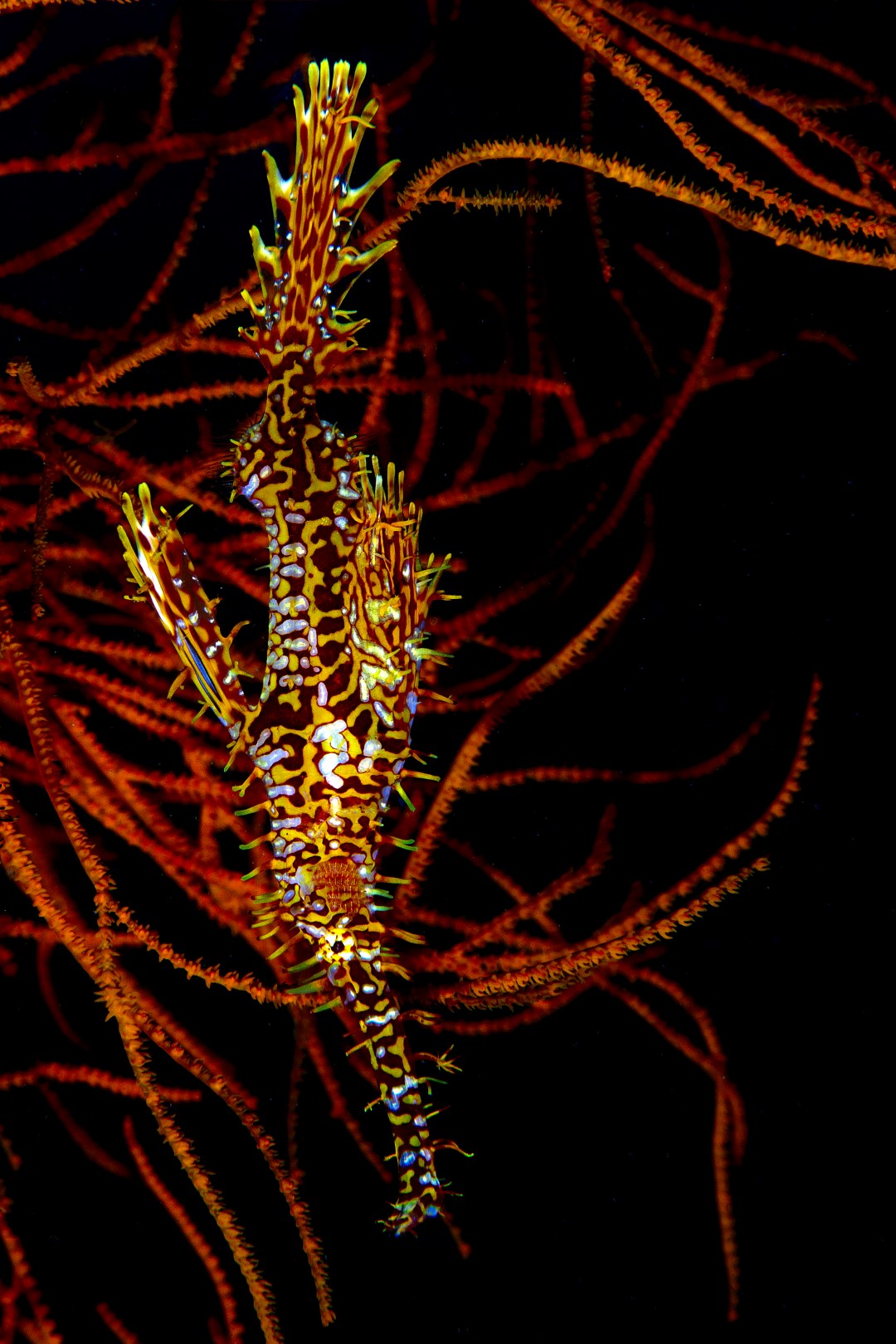 20170604_Masaplod_0005 (Large)